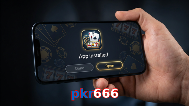 Payment and PKR controls in Pkr666